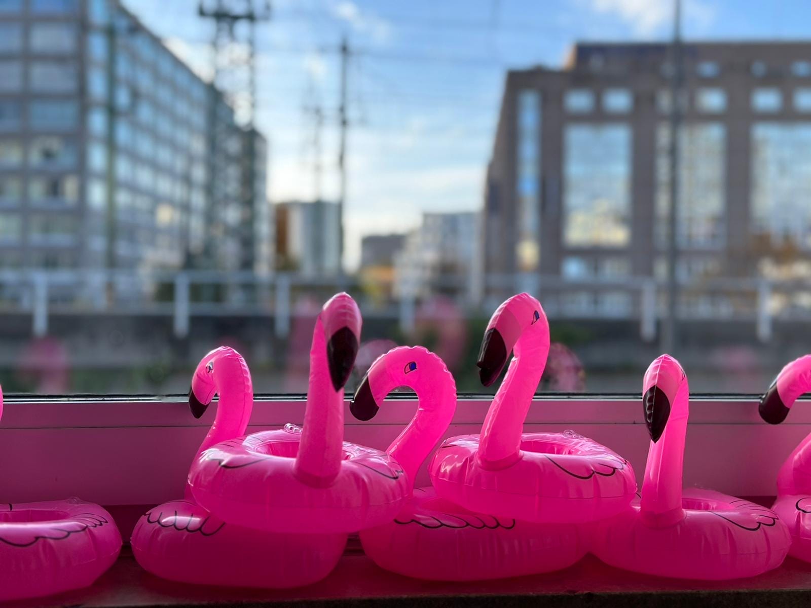 Börsentag-Flamingos: Wir werden immer mehr 🦩